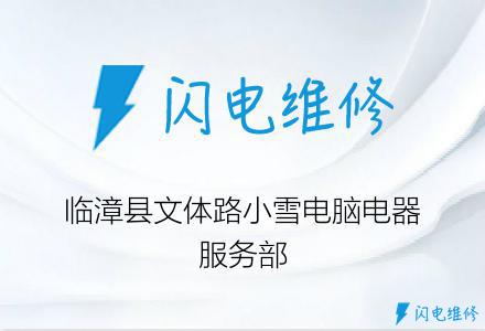 临漳县文体路小雪电脑电器服务部