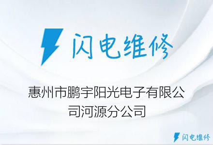 惠州市鹏宇阳光电子有限公司河源分公司