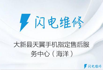 大新县天翼手机指定售后服务中心（海洋）