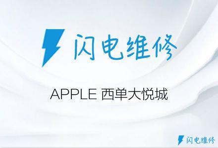 APPLE 西单大悦城