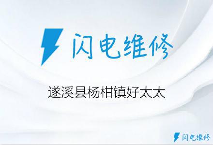 遂溪县杨柑镇好太太