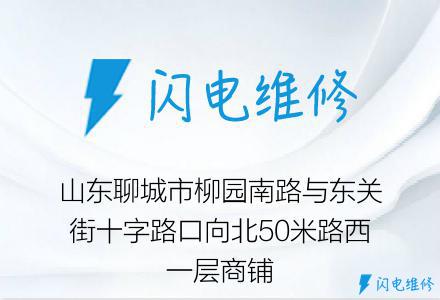 山东聊城市柳园南路与东关街十字路口向北50米路西一层商铺