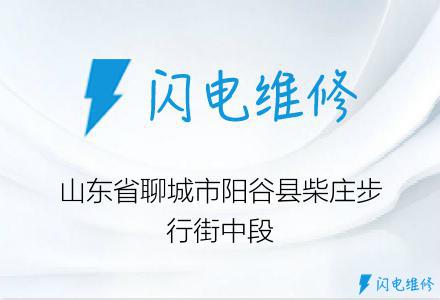 山东省聊城市阳谷县柴庄步行街中段