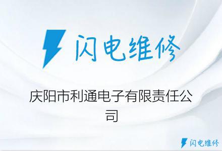 庆阳市利通电子有限责任公司