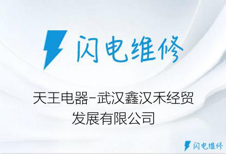 天王电器-武汉鑫汉禾经贸发展有限公司
