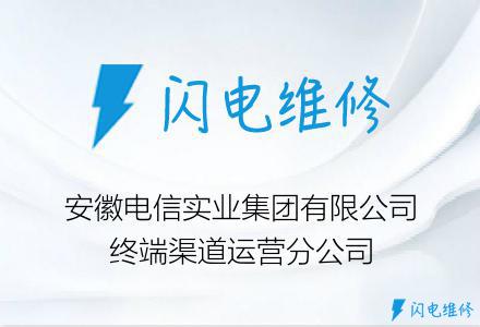 安徽电信实业集团有限公司终端渠道运营分公司