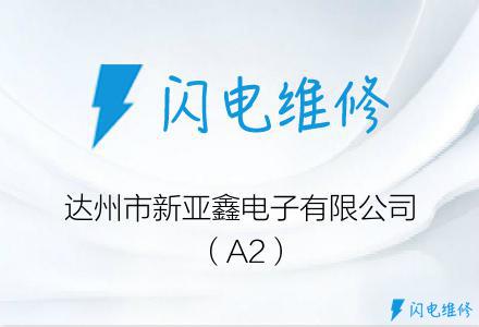 达州市新亚鑫电子有限公司（A2）